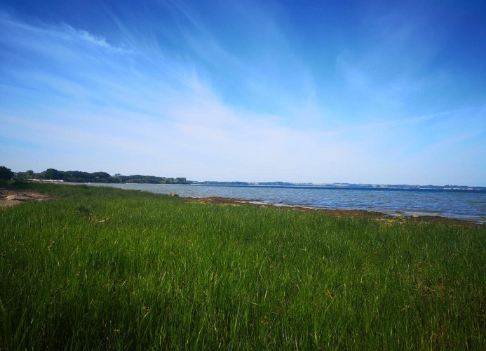 Blick aufs Wasser