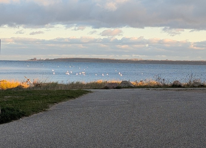 Blick auf die Insel Poel