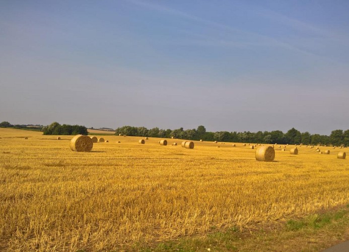 Herbststimmung