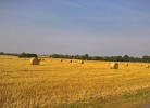 es wird Herbst in MV