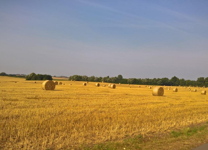 es wird Herbst in MV